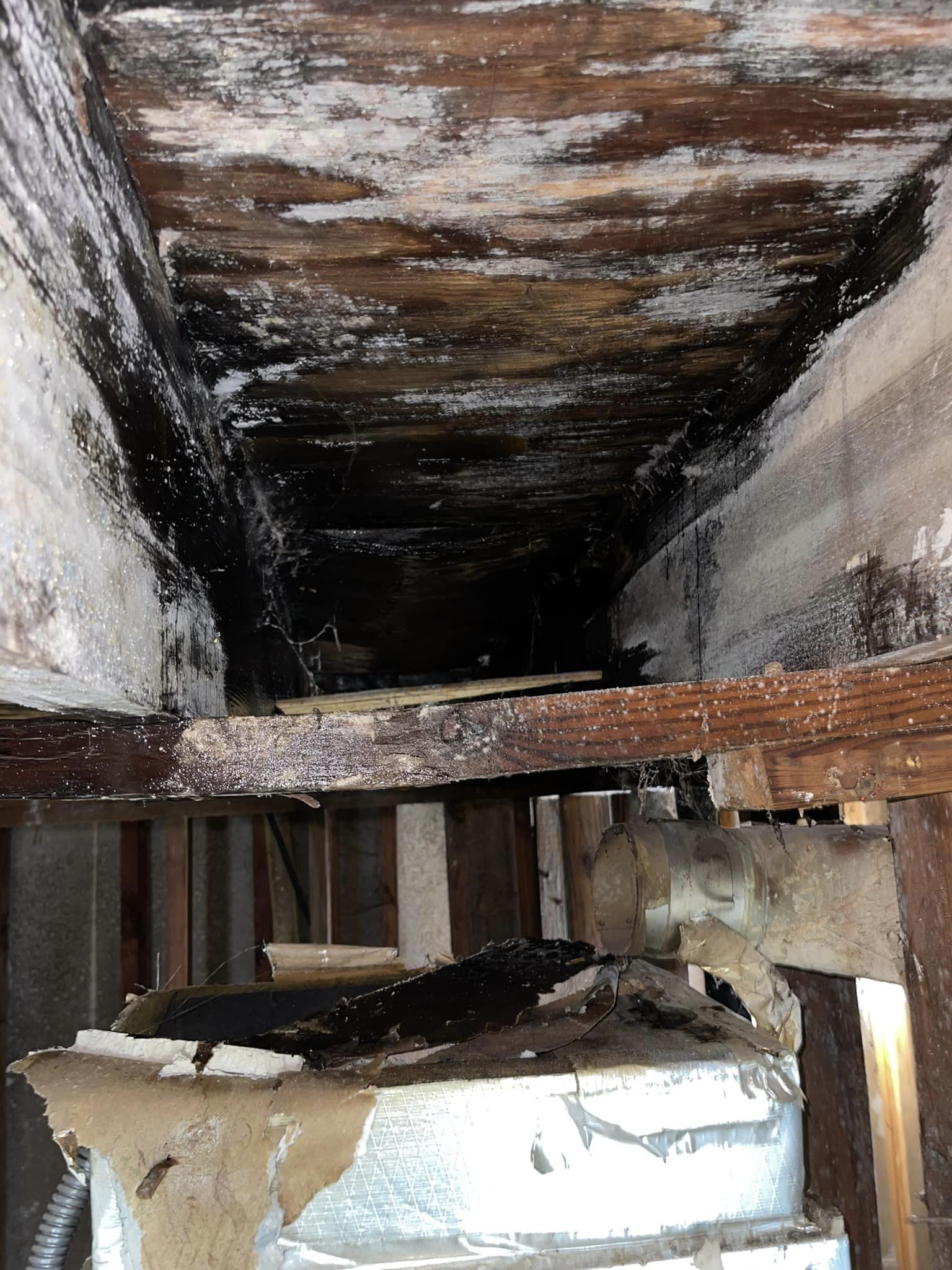 a wood beam with mold on the ceiling